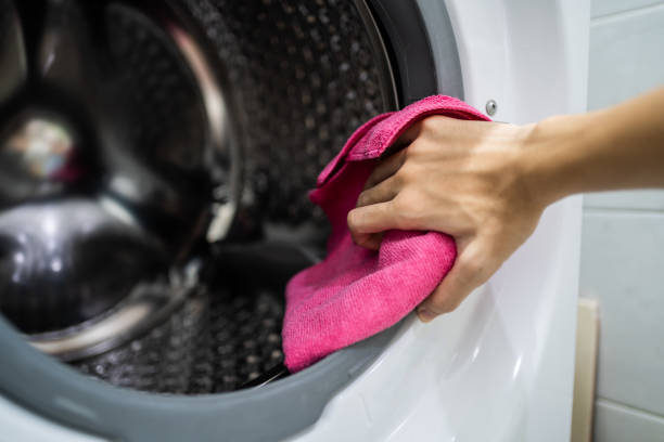 Mold Odor Removal Services in Niantic, CT