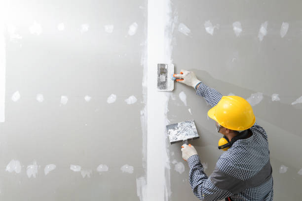 Best Post-Construction Mold Inspection  in Niantic, CT