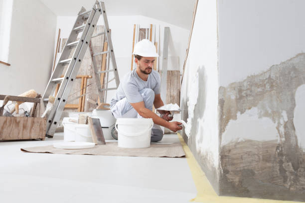 Best Mold Odor Removal Services  in Niantic, CT